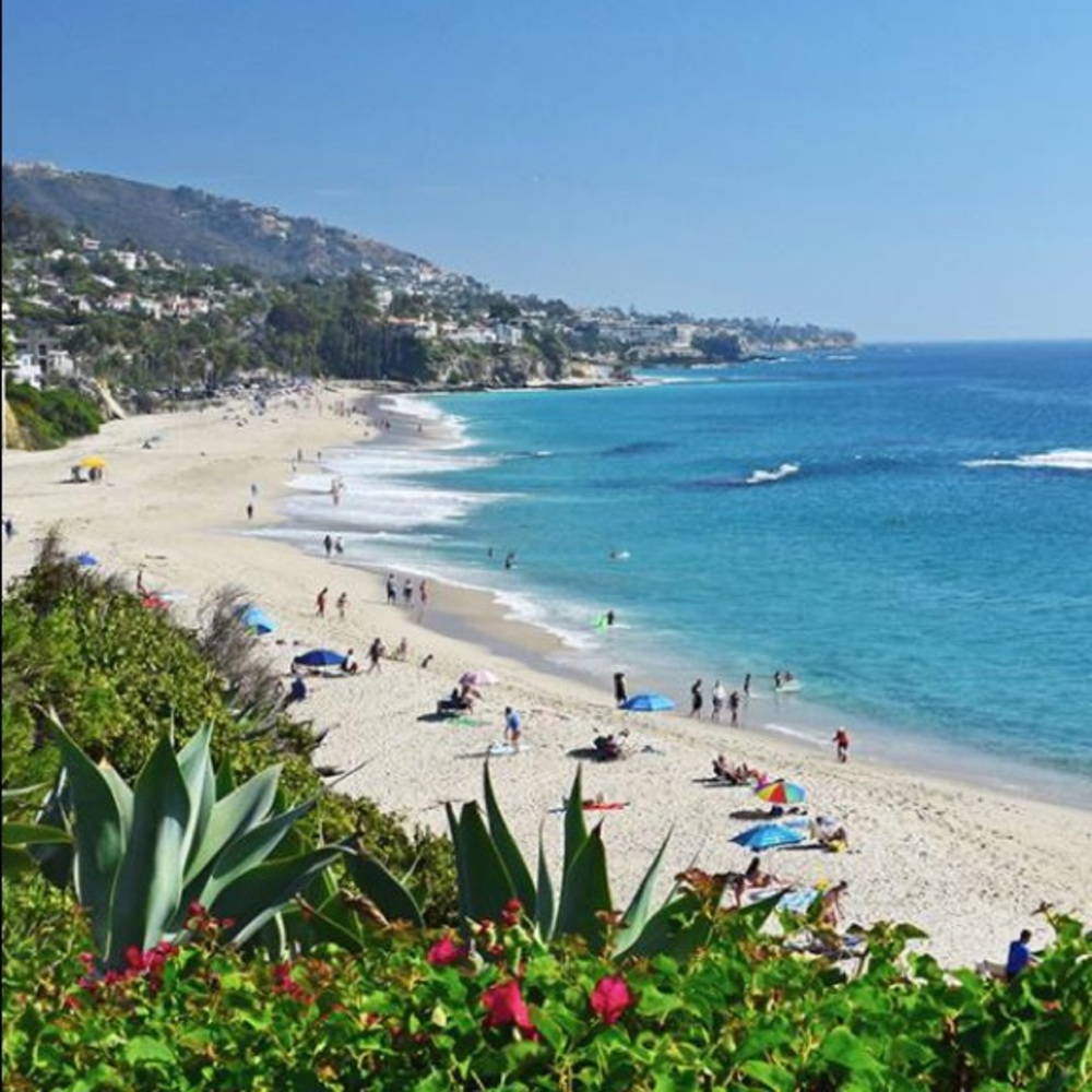 Meet your Posher, Alexa